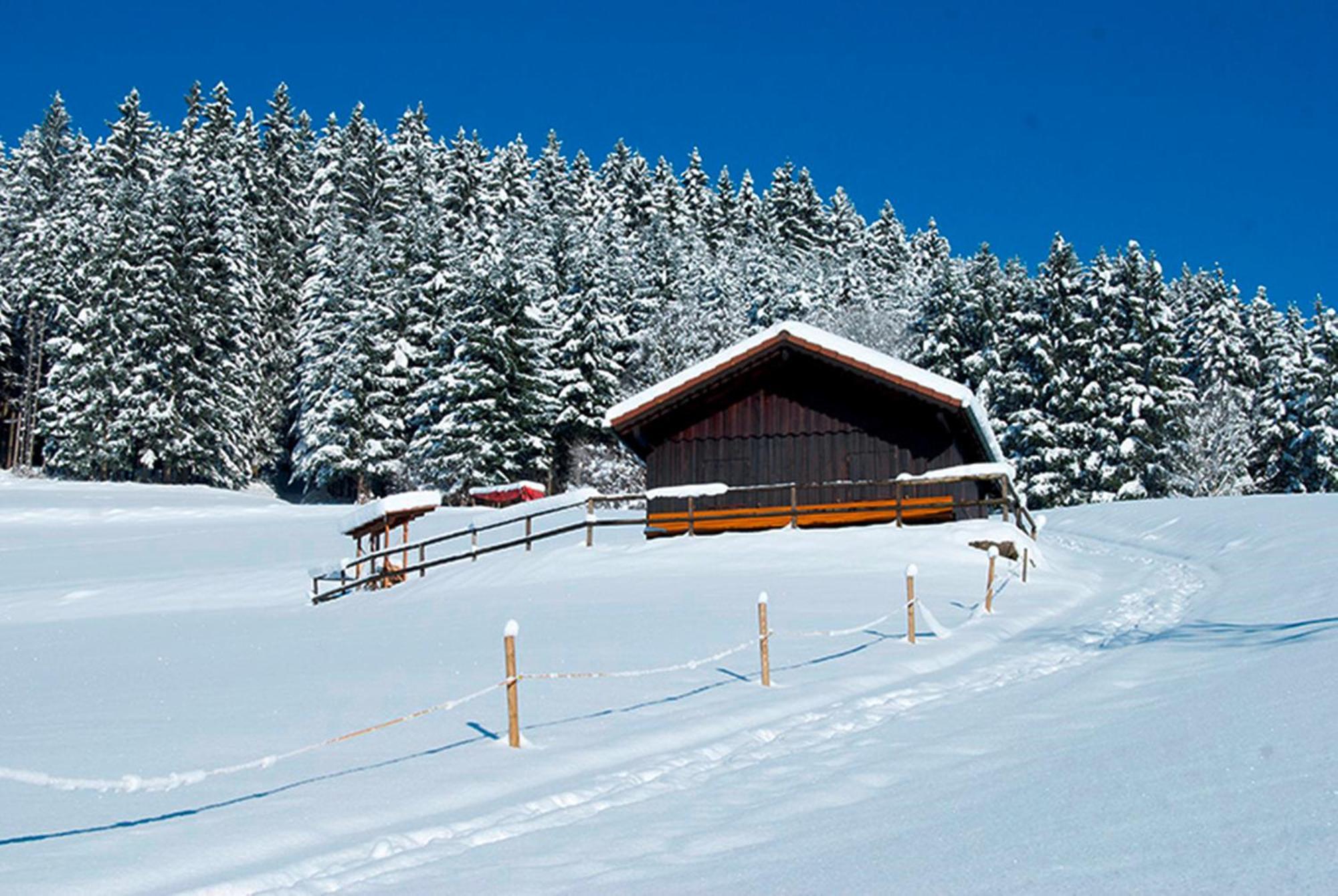 Landhaus Sackmann Baiersbronn Exterior photo